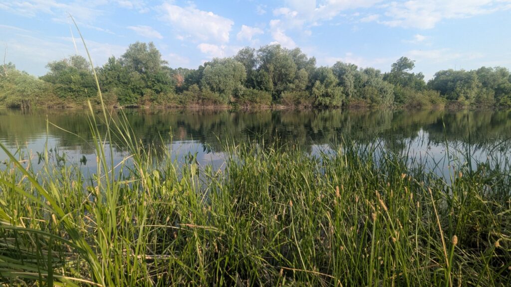 Днестр летом